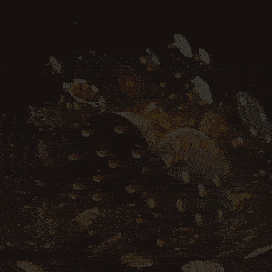 9fe39d87761a3b187e4e00092a5559ac_1750055384_1515.gif